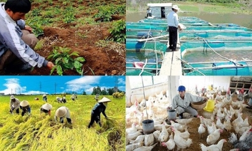 Cần hoàn thiện khung pháp lý cho tài chính vi mô trong nông nghiệp